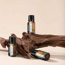 10ml离火植物芳香精油,持久芳香,空氣清新劑,水溶性-檀香木,可用於芳香燃燒爐、加濕器、香氛石等,提高生活品質！ - 檀香 - 查看 3