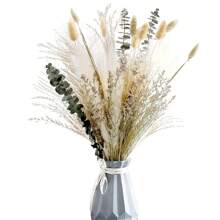 天然干花花束，17 英寸干花用于装饰，干花艺布置用于室内家居装饰，配有潘帕斯草原植物（绿色） - 白色 - 查看 1