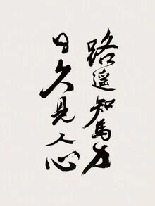 1pc Black Text Element Pattern Temporary Tattoo Sticker For Wrist, Chest, Abdomen, Back, Body - Black - View 3