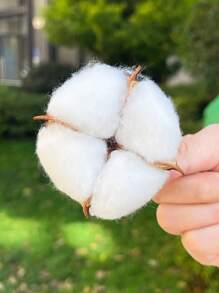 10 Pcs  Dried Cotton Head, Fake Cotton Flowers Dried Cotton Picks Stalks Plants, Artificial Cotton Floral Stems Faux Farmhouse Decorations For Vase Home Decorl, Restaurant, Living Room, Bedroom, Wedding, Banquet, Kitchen, Garden Ideal For School Dorm - White - View 1