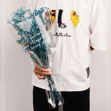 10入組清透花紋禮品袋,適用於情人節、閨蜜禮物、派對裝飾 - 款式A - 查看 6