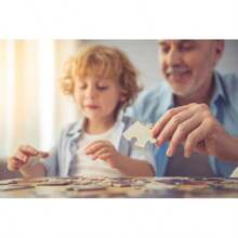 1500 Piece Jigsaw Puzzle, Lion's Portrait, Wild Animal Puzzles, Big Cat Puzzles, Adult Puzzles, Trefl 26139