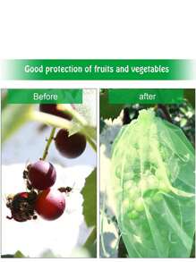 100pcs Green Fruit Protection Bag Anti-Insect Bird-Proof Mesh For Grapes, Strawberries, Fruits - Green - View 4