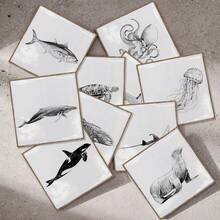 北歐家居瓷磚自黏方磚牆貼廚房衛生間臥室客廳餐廳防水防油防潮裝飾瓷磚貼牆面翻新地貼家居裝飾-海洋動物 - 白色 - 查看 2