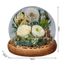 1pc Eternal Rose Glass Dome Ball As Valentine's Day Gift For Family And Friends - Red - View 8