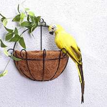 1只仿真鸚鵡泡沫羽毛裝飾品,帶爪子,適合掛在牆壁、展示櫥和花園裝飾 - 黃色 - 查看 3