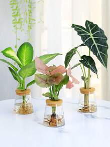 1 件透明水耕植物架,桌面景觀花盆,附植物