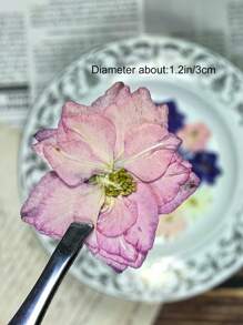 1包/15張天然乾燥壓花,用於樹脂模具,樹脂裝備套件,相簿,指甲,珠寶模具,製作蠟燭,皂,相框,手提包diy - 多色 - 查看 7