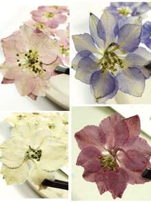 1包/15張天然乾燥壓花,用於樹脂模具,樹脂裝備套件,相簿,指甲,珠寶模具,製作蠟燭,皂,相框,手提包diy - 多色 - 查看 4