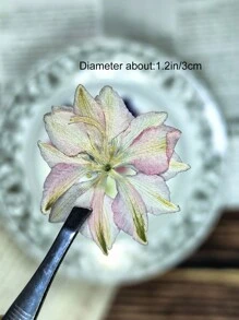 1包/15張天然乾燥壓花,用於樹脂模具,樹脂裝備套件,相簿,指甲,珠寶模具,製作蠟燭,皂,相框,手提包diy - 多色 - 查看 9