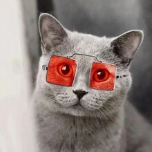 1pc Pet Funny Square Sunglasses Red Frame Cute Props Accessories For Photoshoots And Cool Styling - Perfect For Cats And Small Puppies - Red - View 1
