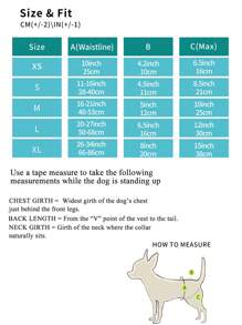 1pc Cartoon Dolphin Print Pet Sanitary Pants - Blue - View 5