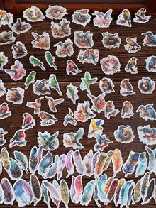 100sheets/Bag Vintage Bird & Feather Series Stickers For Scrapbooking, Collage Diy, Suitable For Car, Notebook, Skateboard, Bike, Motorcycle, Luggage, Laptop - Multicolor - View 8