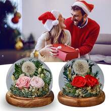 1pc Eternal Rose Glass Dome Ball As Valentine's Day Gift For Family And Friends - Red - View 2