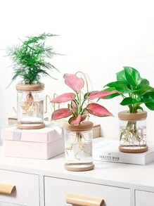 1個水耕植物容器花盆,塑料瓶辦公桌裝飾花瓶,美學房間裝飾,家居裝飾 - 棕色 - 查看 1