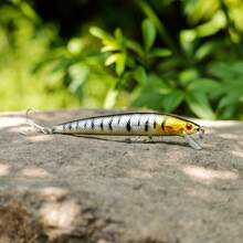 Sougayilang 1入組釣餌12cm 10g硬餌沉底稚魚鱘餌假餌鉛魚餌筆狀鱸魚鱸魚用釣具魚教 - 黑與白 - 查看 5
