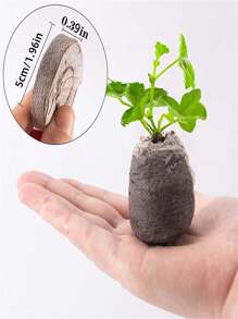 5厘米/1.96英寸/椰子泥土,現代花園營養土,發芽的好幫手/10個裝 - 灰色 - 查看 2