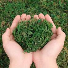 190g Large Capacity Fake Moss For Potted Plants, Artificial Natural Moss For Fake Plants Indoor, Moss For Home & Office Decor, DIY Crafts, Forest Moss For Hamsters - Green - View 1