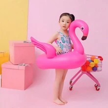 Water Wings - 帶翅膀的火烈鳥 - 查看 7