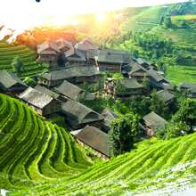 羅漢果洗碗刷,雙面清潔布,廚房和家用洗碗布,羅漢果海綿 - 款式B - 查看 6