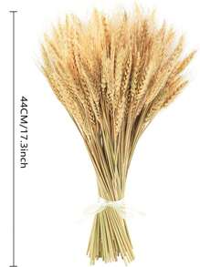 100pcs Dried Wheat Bundle Natural Wheat Sheaf For Autumn Decorations, Diy Design, Home Table, Wedding & Party Centerpieces - Multicolor - View 2
