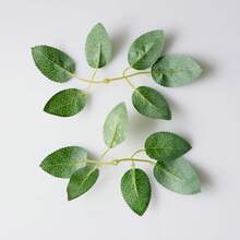 30入組人造綠葉片,用於手工藝品,人造綠色花材中心裝飾,仿真玫瑰花葉片,綠絲葉家居裝飾 - 綠色 - 查看 7