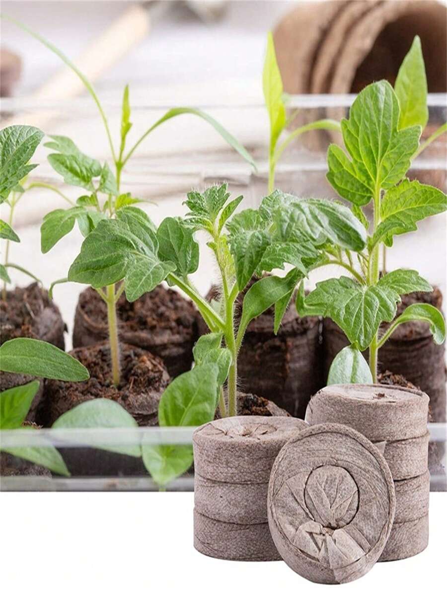 5厘米/1.96英寸/椰子泥土,現代花園營養土,發芽的好幫手/10個裝 - 灰色 - 查看 1