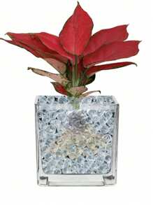 3000pcs Water Gel Beads, Water Gel Beads For Vase Filler, Decoration, Wedding Centerpiece, Floating Candles, Planting, Floral Decoration Best Gifts Birthday Graduation