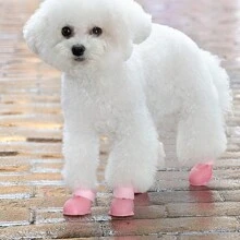 Dog Rain Shoes Four Seasons Teddy Shoes Anti Drop Pet Waterproof Small And Medium Sized Dog Bear Foot Covers Do Not Remove Rain Shoes    Wearable In All Seasons  Color Random - Multicolor - View 4