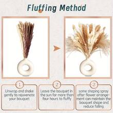 60支自然乾燥的大麥芒花束-花藝藝術,適用於波西米亞風格家居裝飾、婚禮花藝佈置和派對活動 - 米色 - 查看 4