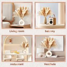 60支自然乾燥的大麥芒花束-花藝藝術,適用於波西米亞風格家居裝飾、婚禮花藝佈置和派對活動 - 米色 - 查看 6