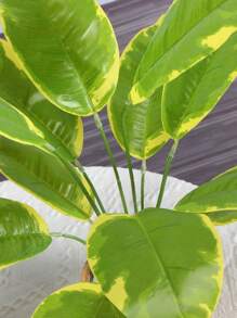 1 Bunch Artificial Plant Leaves, About 17.71in Length, 12pcs Imitation Tropical Large Tree Leaves, Perfect For Tropical Themed Wedding Decorations, Indoor/Outdoor Home Decor And Beautiful Room Decorations - Green - View 6