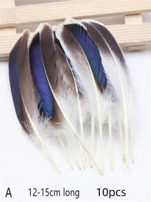 10入組各種美麗的動物羽毛,經精心挑選用於聖誕節慶祝裝飾、diy手工書籤及收藏觀賞等用途 - C - 查看 5