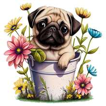 1/2/3入組狗狗塑料貼紙,燙印轉移貼紙貼花適用於男士服裝t恤衫 - 彩色 - 查看 1