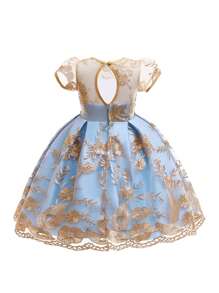 Young Girls Embroidered Tulle Birthday Party Flower Girl Wedding Princess Dress, Suitable For Wedding, Party, Evening Gown, Fabric & Floral Pattern Randomly Cut, Headband Not Included - 香檳色 - 查看 2