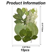15入組乾燥壓花樹葉樹脂手工藝製作用品,可以用於製作蠟燭、珠寶,或用於創作相簿 - Light Green - 查看 2