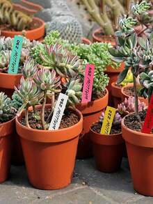 100入組0.79*3.94英寸pvc塑料防水標籤,用於園藝裝飾的必備用品 - 黃色 - 查看 5