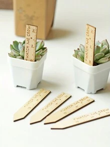 15/20/30pcs Wooden Plant Labels Watch Me Grow Succulent Tags Perfect For Succulent Baby Shower Gifts Decorations - Beige - View 1