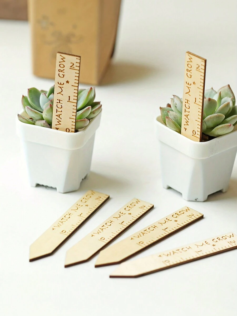 15/20/30pcs Wooden Plant Labels Watch Me Grow Succulent Tags Perfect For Succulent Baby Shower Gifts Decorations - Beige - View 1