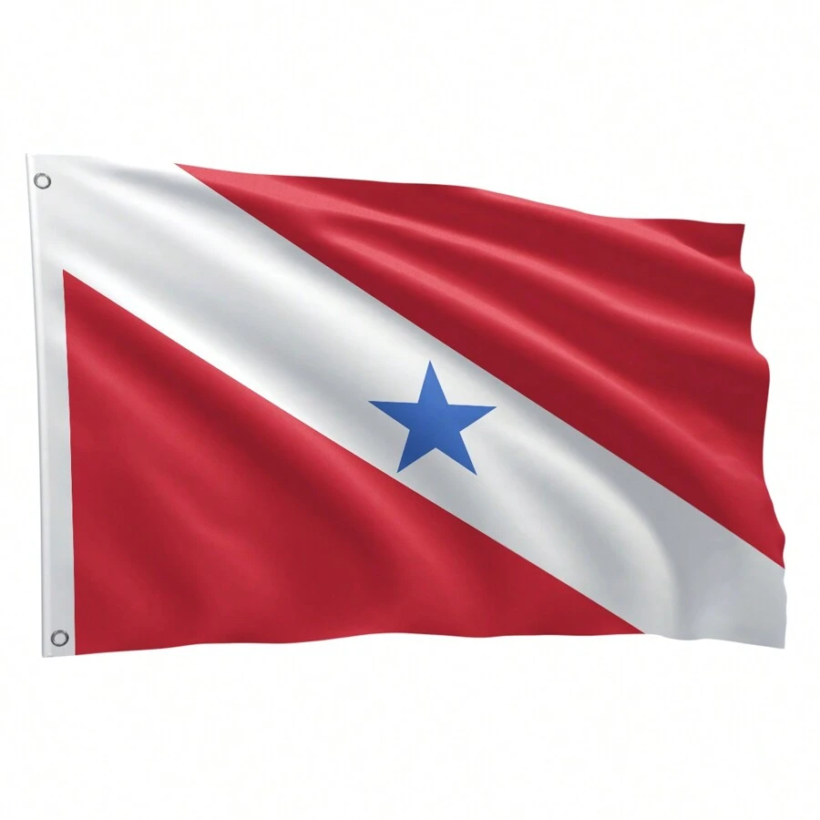 Bandeira Dos Estados Brasileiros Grande 1,50 X 0,90 M - Pará - Visão 1