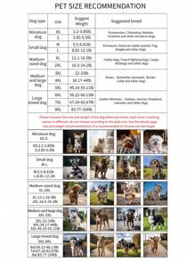 Rabbit Ear Decor Pet Hoodie - Grey - View 3