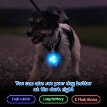 1pc Random Color LED Pet Pendant Collar, Waterproof Dog Collar Light For Outdoor Walking, Silicone LED Dog Collar Dog Tag Light For Night, Battery Included