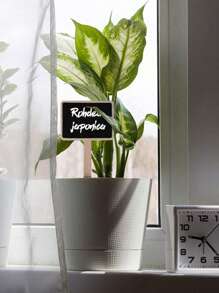 4入組木質夾式小黑板,小型植物名牌,木質桌面展示板,留言板,diy繪畫板 - 彩色 - 查看 3