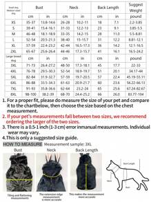 Rabbit Ear Decor Pet Hoodie - Grey - View 4