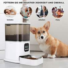 6L Automatic Cat & Dog Feeder With Stainless Steel Feeding,10S Voice Recording, 1-4 Meals Bowl - 白色 - 查看 7