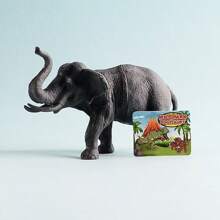 12 Piezas/caja Juguetes De Modelos De Animales Salvajes En Caja - Multicolor - Ver 4