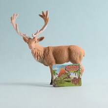 12 Piezas/caja Juguetes De Modelos De Animales Salvajes En Caja - Multicolor - Ver 6