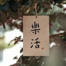 30pcs/Set Chinese New Year Decoration Creative Stationery School Supplies Blessing Postcards