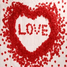 1套求婚裝飾,玫瑰花瓣,浪漫生日、床鋪、婚禮及房間裝飾,人工花材料 - 酒紅色 - 查看 1