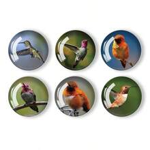 12入組30mm/1.18英寸圓形水晶玻璃冰箱磁鐵,3d高清蜂鳥系列水晶磁鐵,適用於廚房、辦公室白板、櫥櫃和洗碗機的工藝裝飾 - 3D蜂鳥系列圖案 - 查看 2